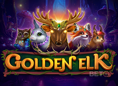 Golden Elk