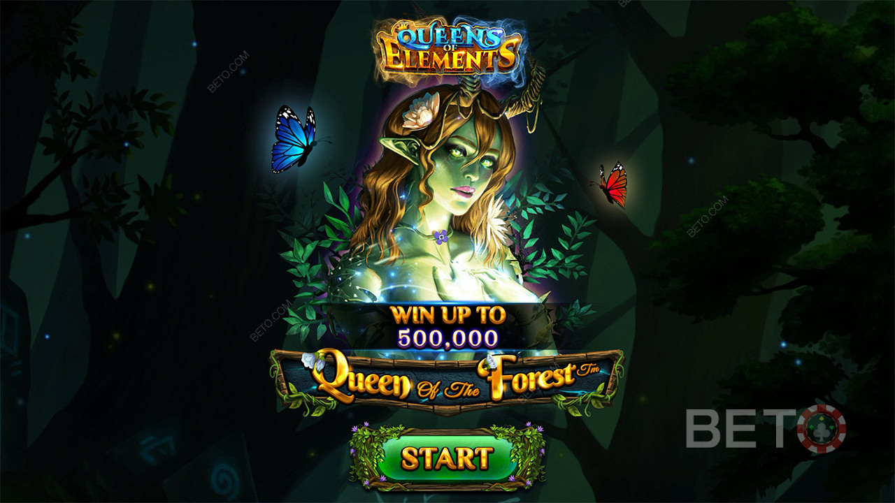 Queen of the Forest 免费游戏
