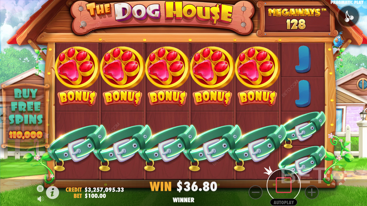 The Dog House Megaways赌场老虎机的详细游戏界面