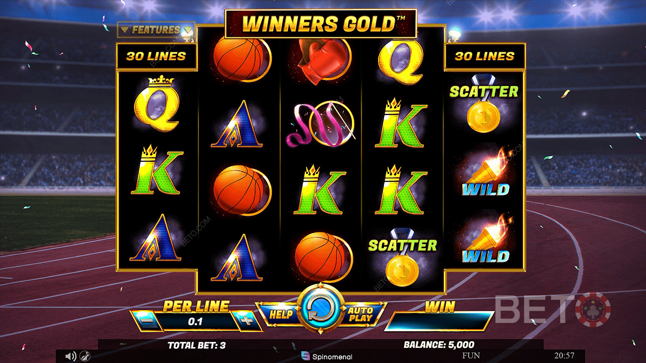 Winners Gold 免费游戏
