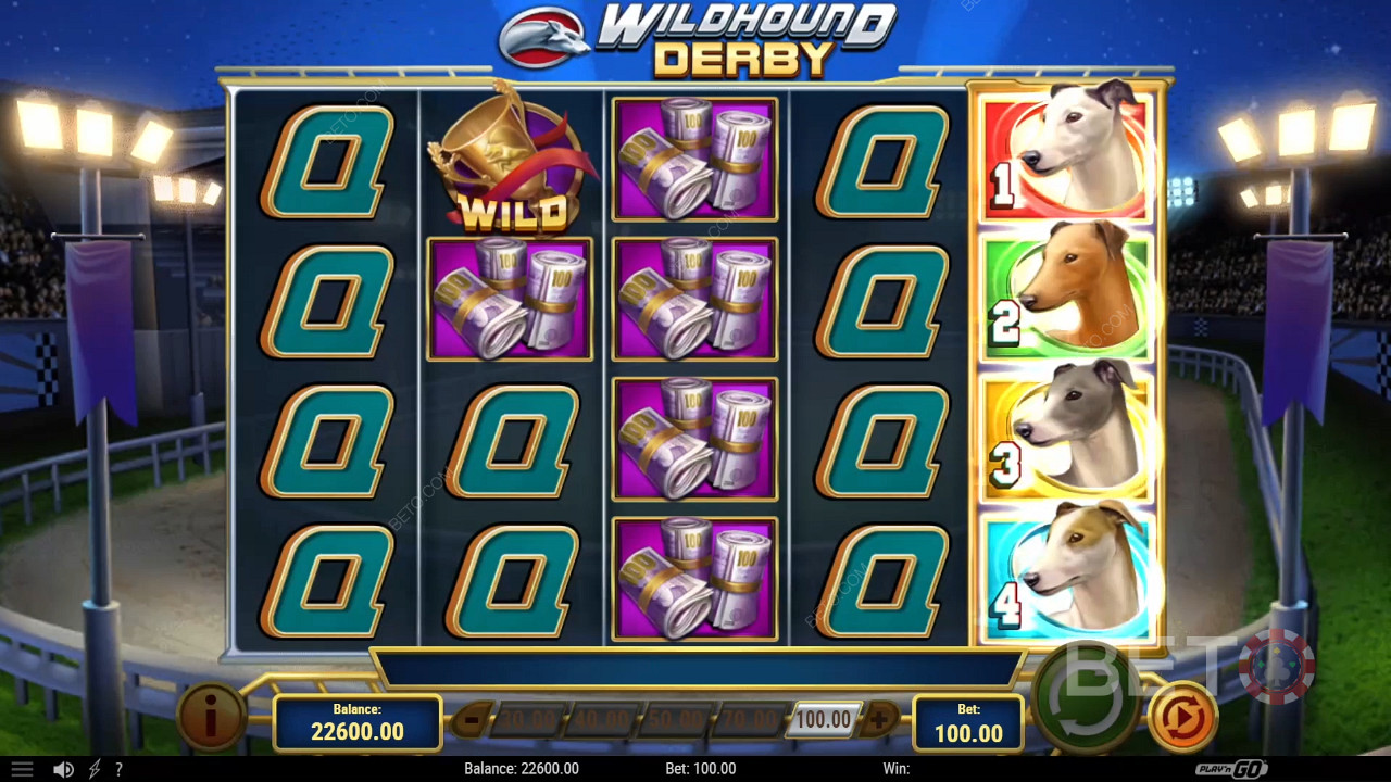 Wildhound Derby 免费游戏