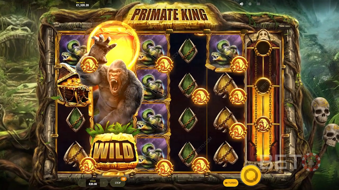 Red Tiger Gaming的Primate King拥有许多出色的奖励功能