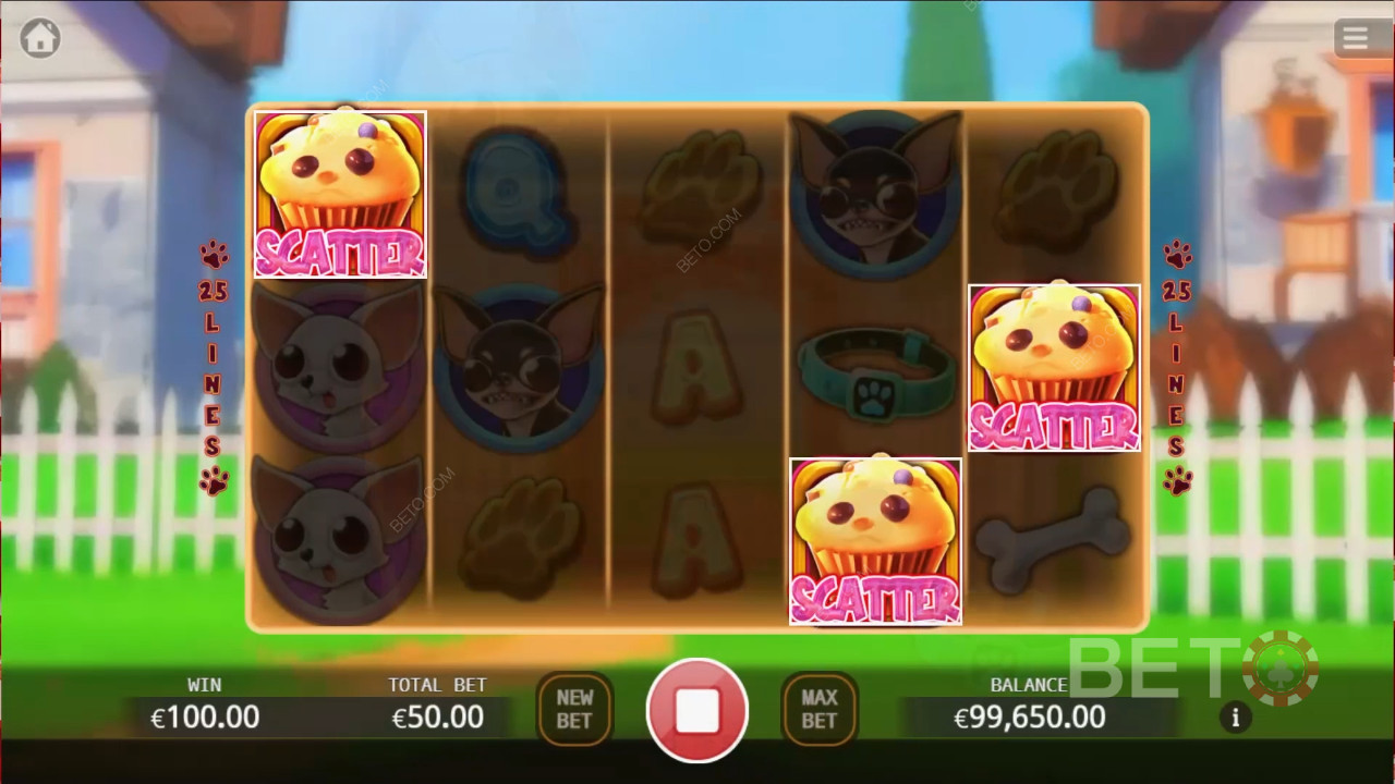 Chihuahua Party 免费游戏
