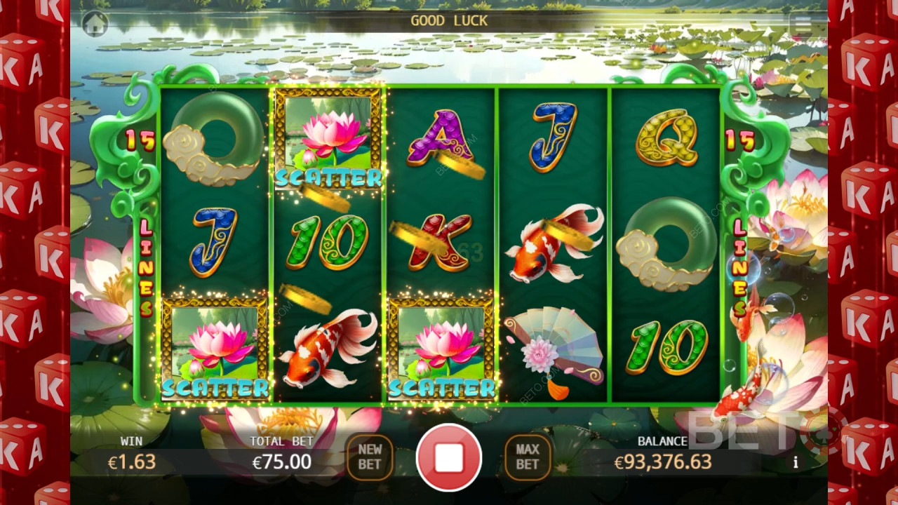 Carp Princess 免费游戏