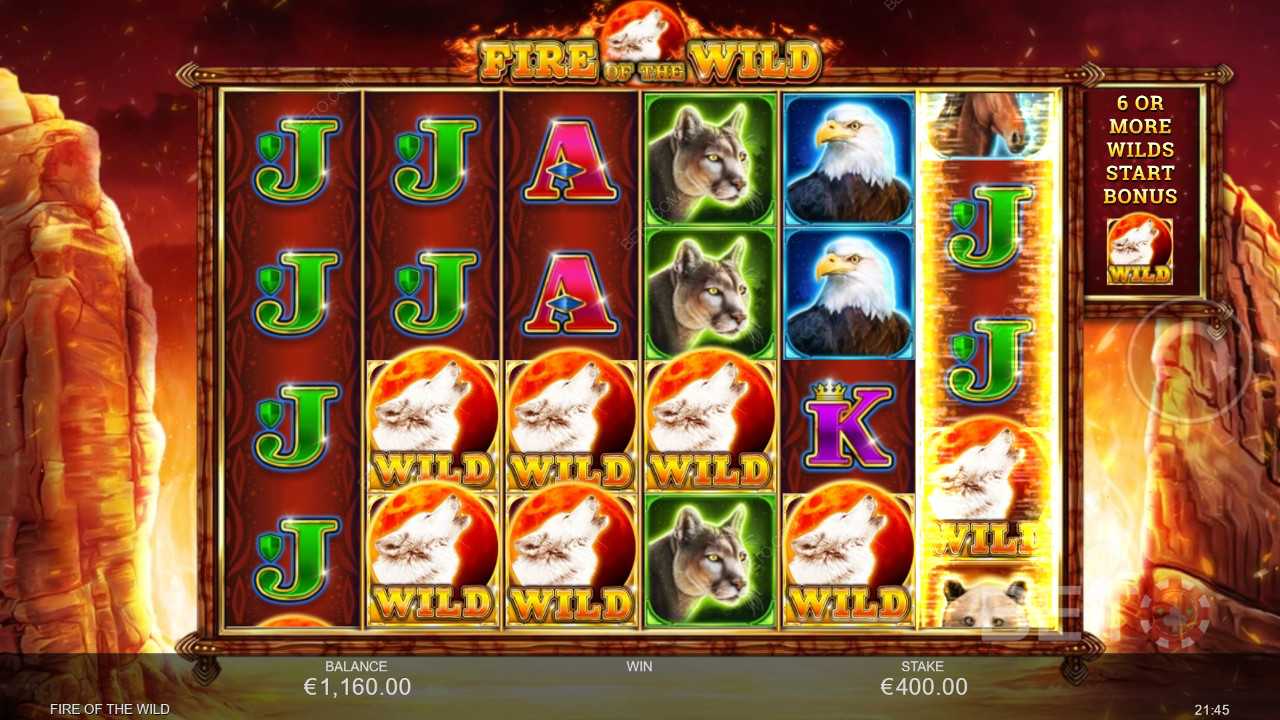Fire of the Wild 免费游戏