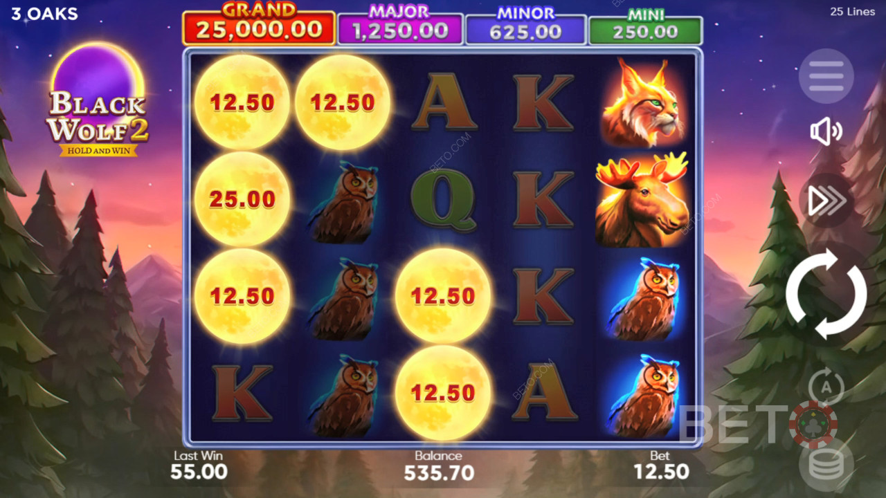Black Wolf 2 免费游戏