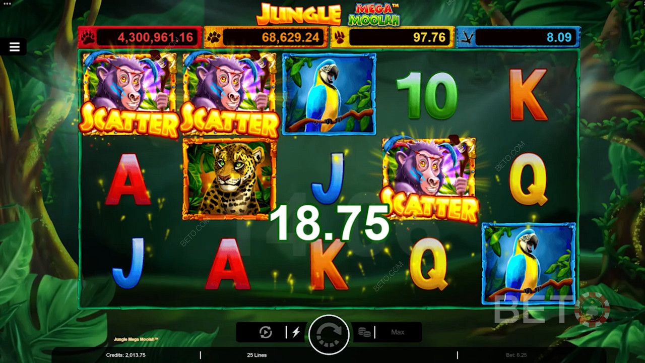在Jungle Mega Moolah 在线老虎机游戏中输入3个猴子散点来触发自由旋转。