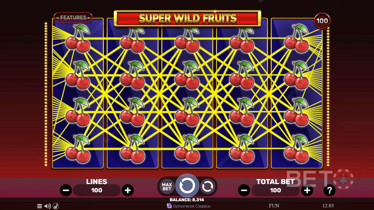 Super Wild Fruits 免费游戏