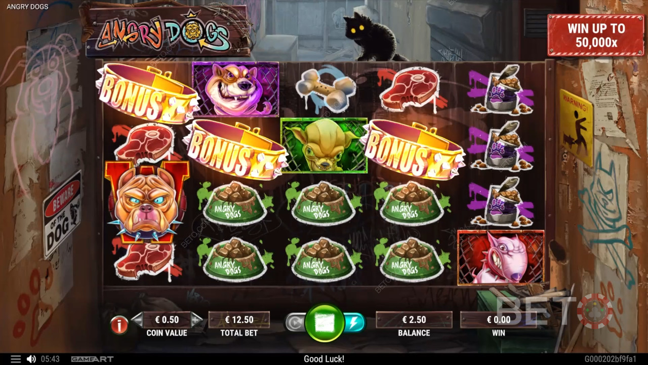 Angry Dogs 免费游戏