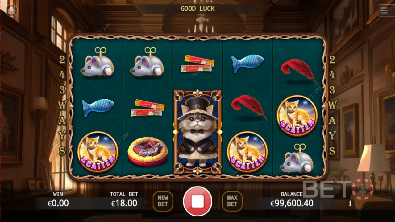 Noble Cat 免费游戏