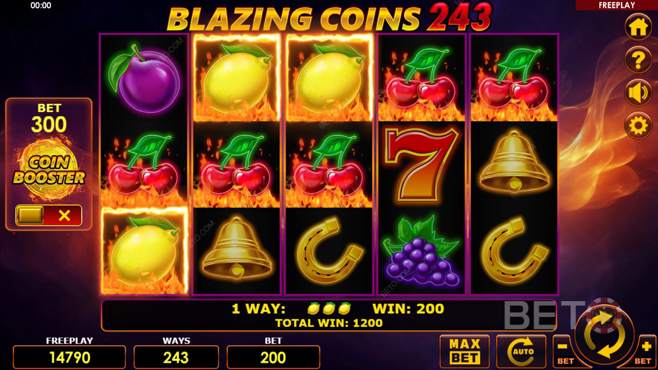Blazing Coins 243 免费游戏