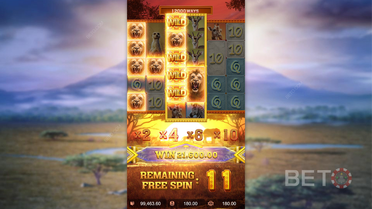 Safari Wilds 中的红利功能说明PG Soft