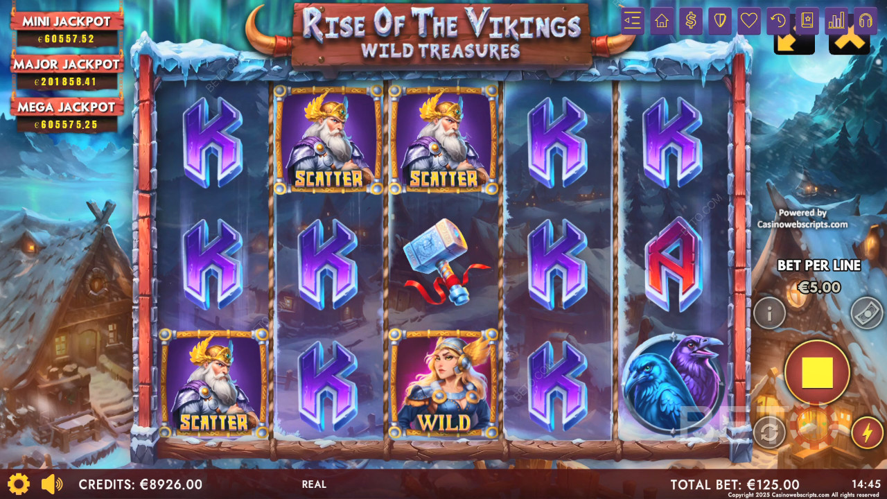 Rise of The Vikings - Wild Treasures 免费游戏