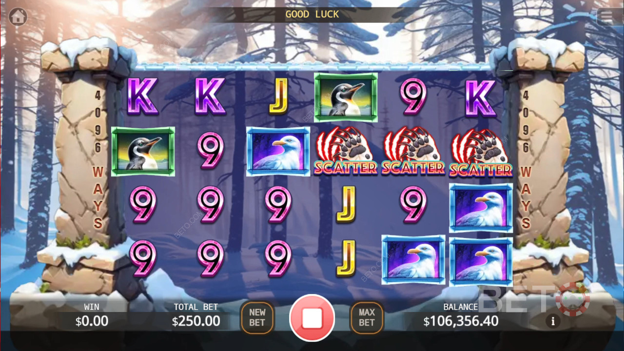 Bear Paw Legend Plus 免费游戏