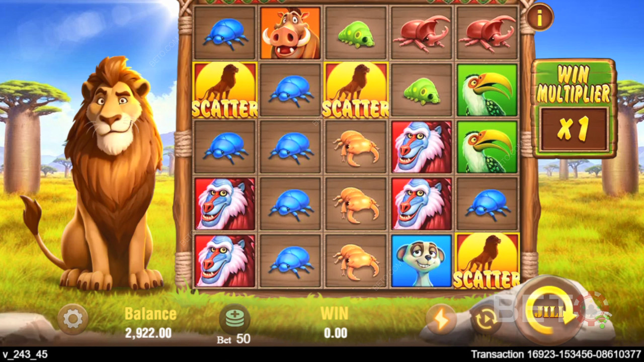 Safari Mystery