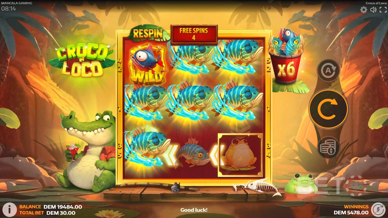 Croco el Loco 评论 by BETO Slots