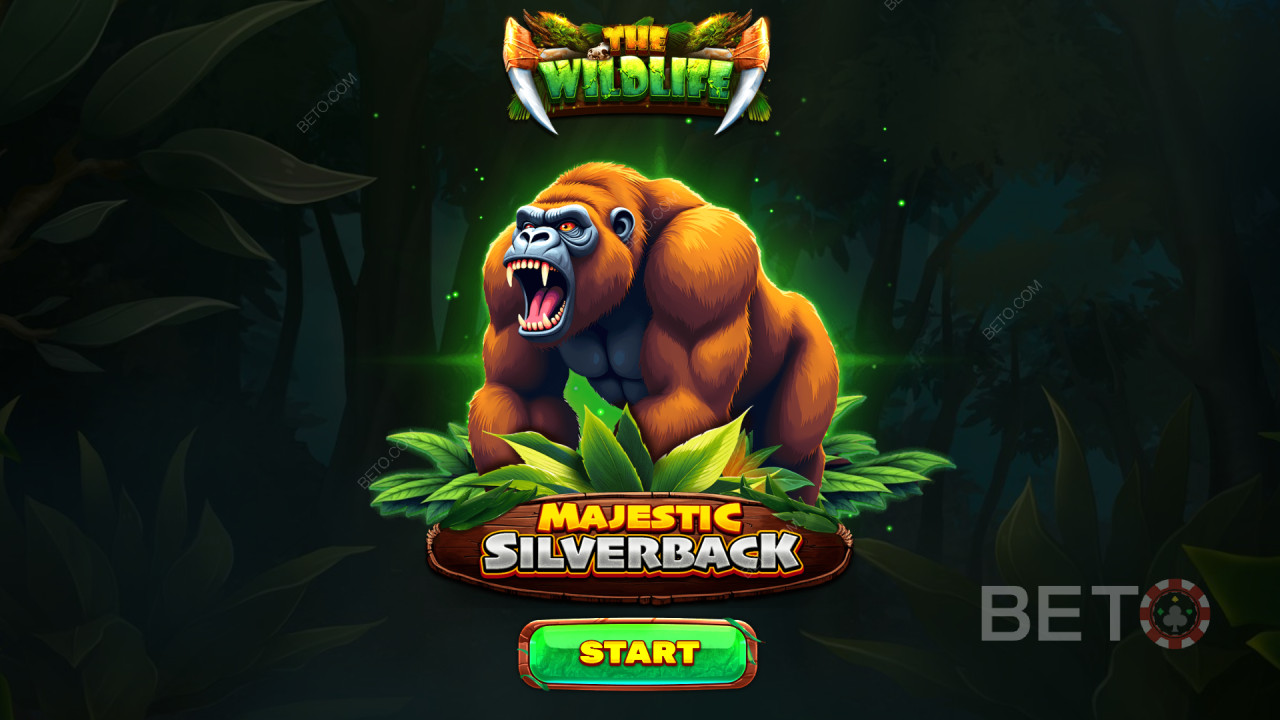 Majestic Silverback 中的奖励功能说明Spinomenal