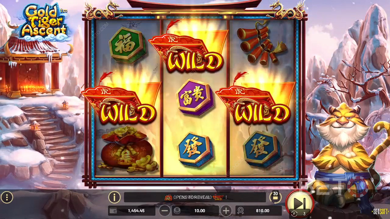 Gold Tiger Ascent 免费游戏