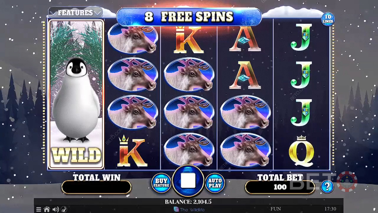Wild Penguin 免费游戏