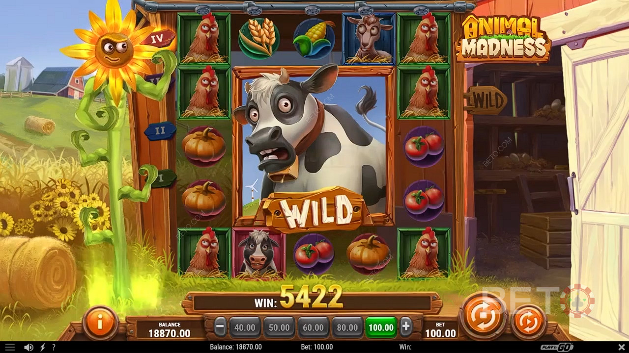 Animal Madness 免费游戏
