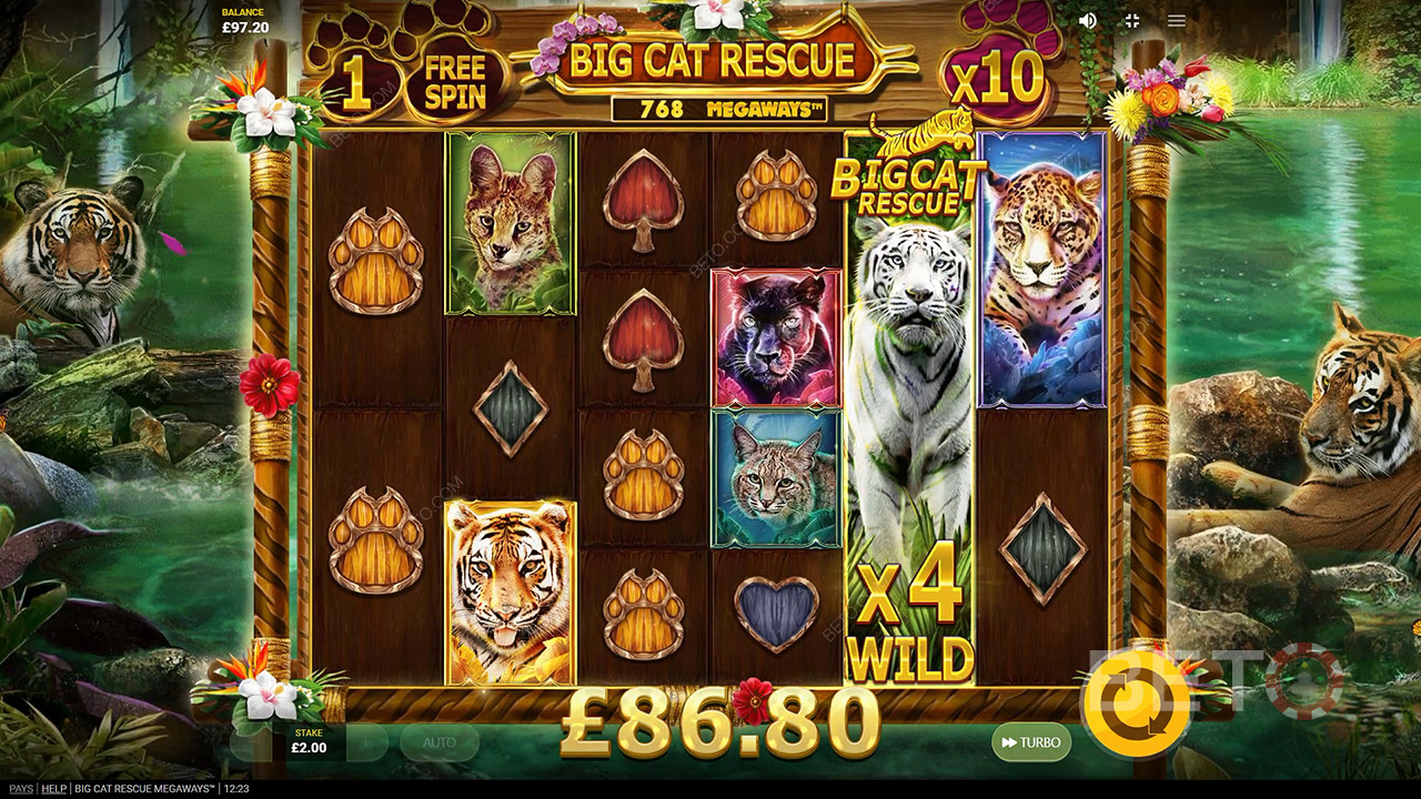 Big Cat Rescue Megaways 免费游戏