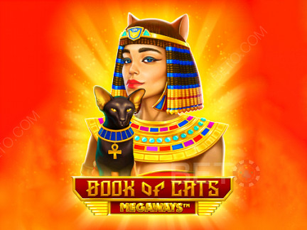 Book of Cats Megaways 演示版