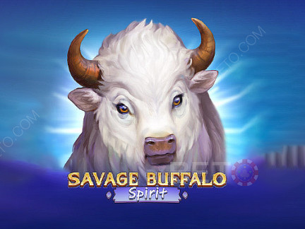 Savage Buffalo Spirit 演示版