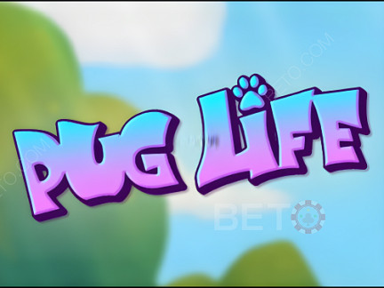 Pug Life 演示版