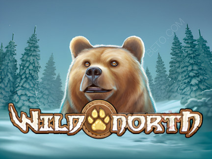 Wild North (Play’n Go) 演示版