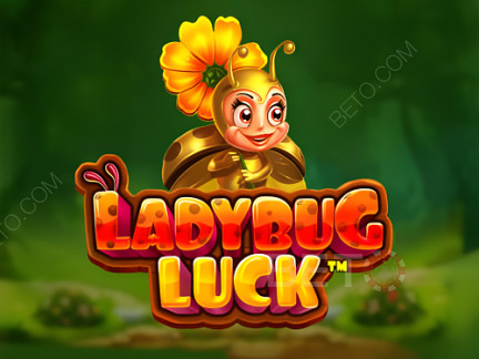Ladybug Luck  演示版