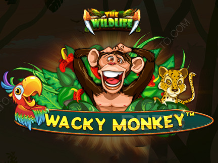 Wacky Monkey 演示版