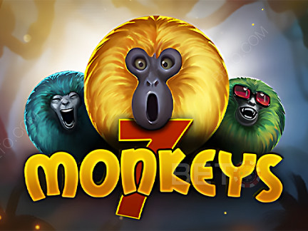 7 Monkeys  演示版