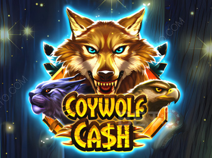 Coywolf Cash 演示版