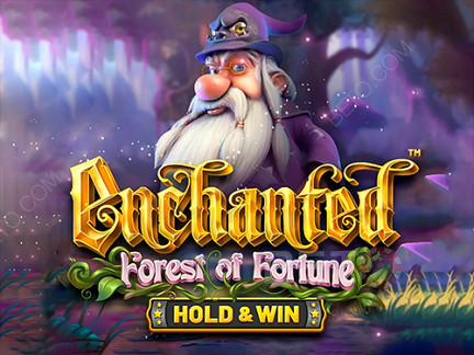 Enchanted: Forest of Fortune 演示版
