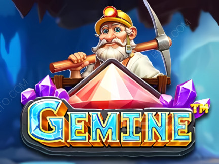 Gemine 演示版