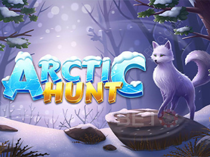 Arctic Hunt 演示版