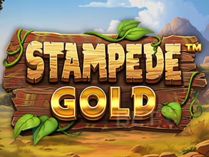 Stampede Gold 演示版