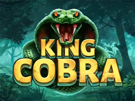 King Cobra 演示版