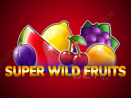 Super Wild Fruits 演示版