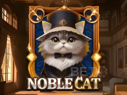 Noble Cat 演示版