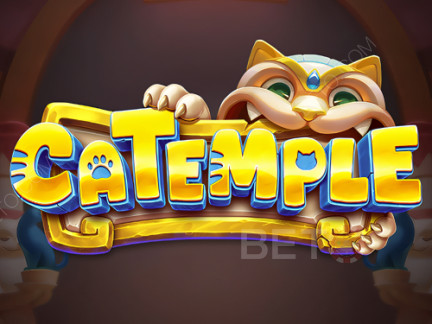 Catemple 演示版