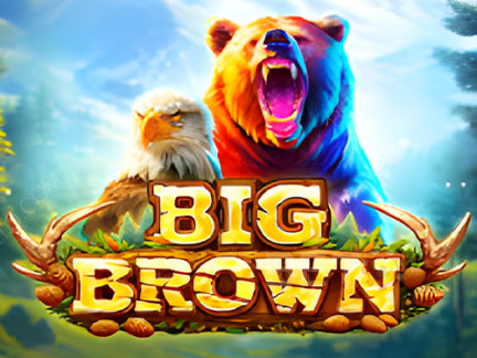 Big Brown 演示版