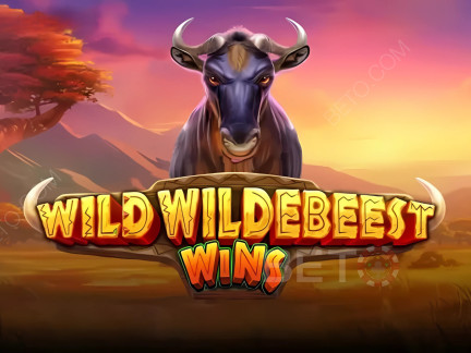 Wild Wildebeest Wins 演示版
