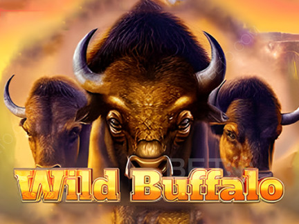 Wild Buffalo 演示版