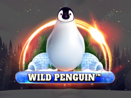 Wild Penguin 演示版