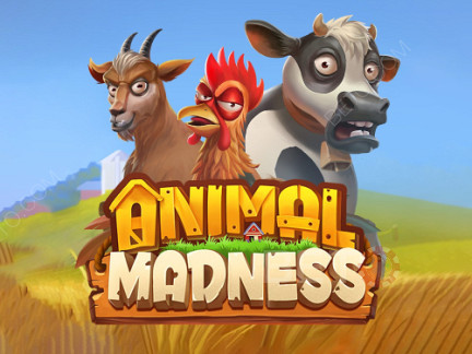 Animal Madness 演示版