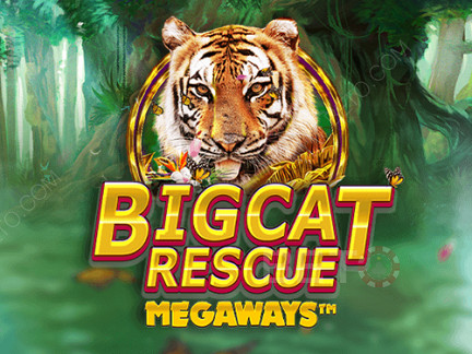 Big Cat Rescue Megaways 演示版
