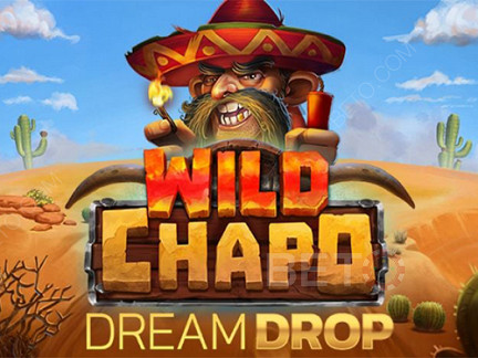 Wild Chapo Dream Drop 演示版